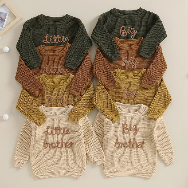 Lioraitiin Baby Boys Embroidered Sweater