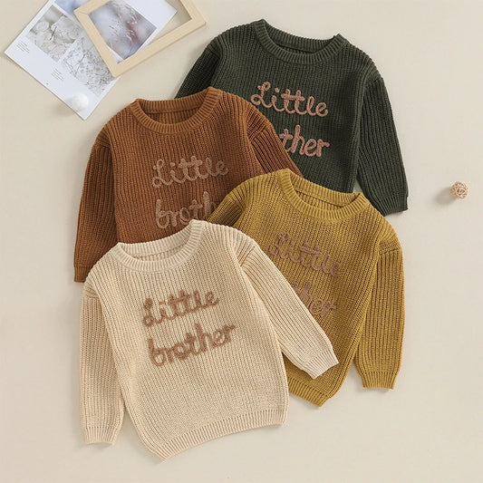 Lioraitiin Baby Boys Embroidered Sweater